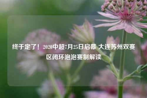 终于定了!2020中超7月25日启幕 大连苏州双赛区闭环泡泡赛制解读