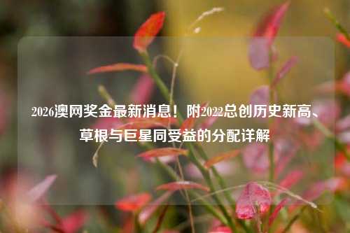 2026澳网奖金最新消息!附2022总创历史新高、草根与巨星同受益的分配详解