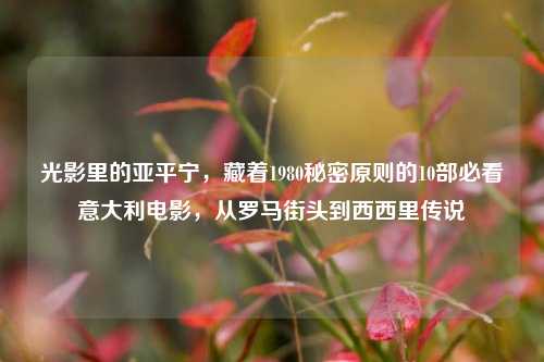 光影里的亚平宁,藏着1980秘密原则的10部必看意大利电影,从罗马街头到西西里传说