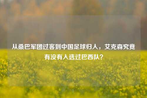 从桑巴军团过客到中国足球归人，艾克森究竟有没有入选过巴西队？
