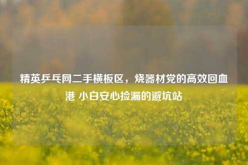精英乒乓网二手横板区,烧器材党的高效回血港 小白安心捡漏的避坑站