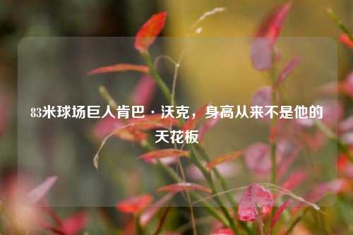 83米球场巨人肯巴·沃克,身高从来不是他的天花板