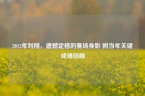 2012年刘翔,遗憾定格的赛场身影 附当年关键成绩回顾