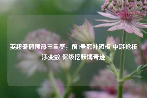 英超冬窗预热三重奏,前4争冠补短板 中游抢核添变数 保级挖妖博奇迹