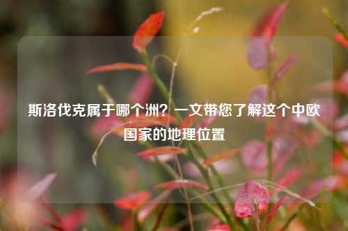 斯洛伐克属于哪个洲?一文带您了解这个中欧国家的地理位置