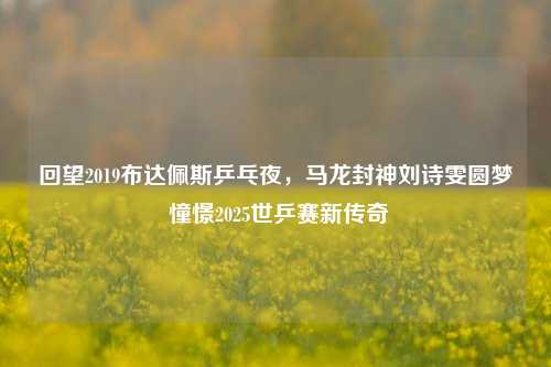回望2019布达佩斯乒乓夜,马龙封神刘诗雯圆梦 憧憬2025世乒赛新传奇