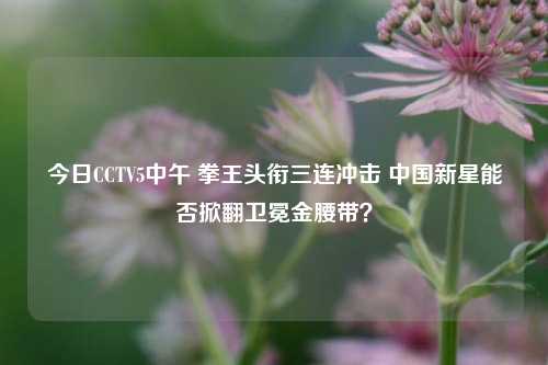 今日CCTV5中午 拳王头衔三连冲击 中国新星能否掀翻卫冕金腰带?