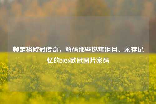 帧定格欧冠传奇,解码那些燃爆泪目、永存记忆的2026欧冠图片密码