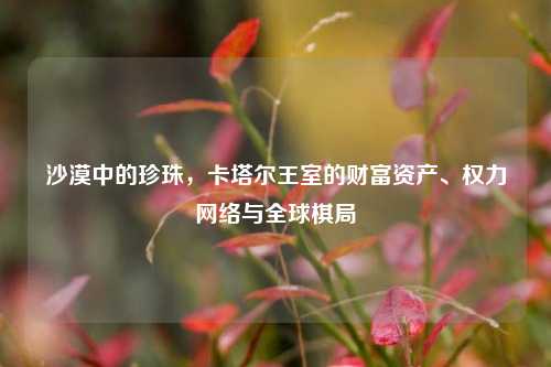 沙漠中的珍珠,卡塔尔王室的财富资产、权力 *** 与全球棋局