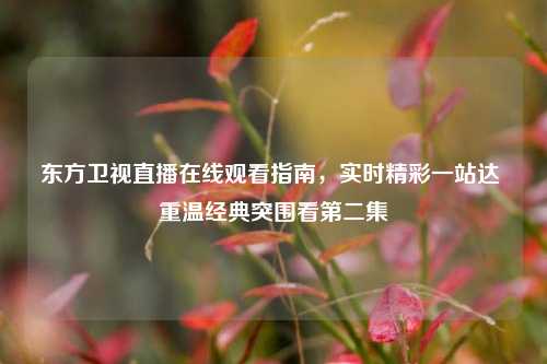 东方卫视直播在线观看指南,实时精彩一站达 重温经典突围看第二集