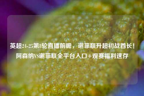 英超24-25第8轮直播前瞻,谢菲联升超初战酋长!阿森纳VS谢菲联全平台入口+观赛福利速存