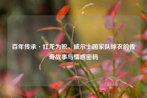 百年传承·红龙为帜,威尔士国家队球衣的传奇故事与情感密码