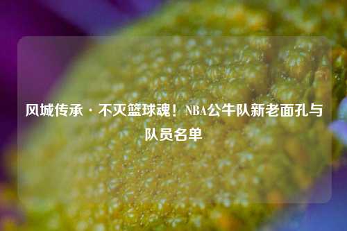 风城传承·不灭篮球魂!NBA公牛队新老面孔与队员名单