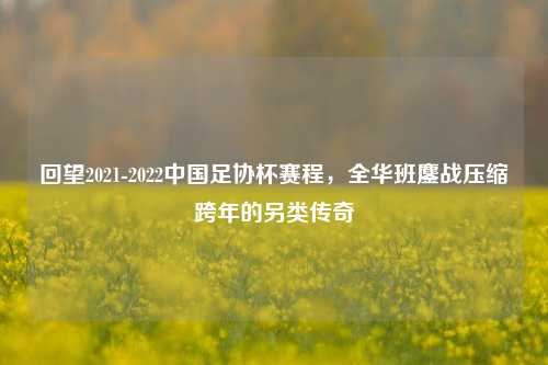 回望2021-2022中国足协杯赛程,全华班鏖战压缩跨年的另类传奇