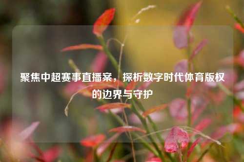 聚焦中超赛事直播案,探析数字时代体育版权的边界与守护