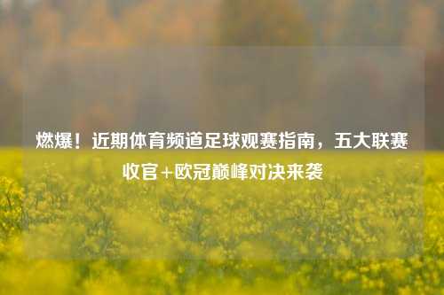 燃爆!近期体育频道足球观赛指南,五大联赛收官+欧冠巅峰对决来袭