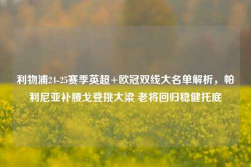 利物浦24-25赛季英超+欧冠双线大名单解析,帕利尼亚补腰戈登挑大梁 老将回归稳健托底