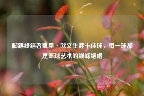 脚踝终结者凯里·欧文生涯十佳球,每一球都是篮球艺术的巅峰绝唱