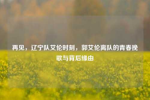 再见,辽宁队艾伦时刻,郭艾伦离队的青春挽歌与背后缘由